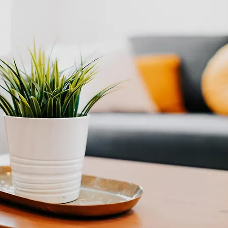 Appartement Cosy Avec Place De Parking Prive Toulouse Buitenkant foto