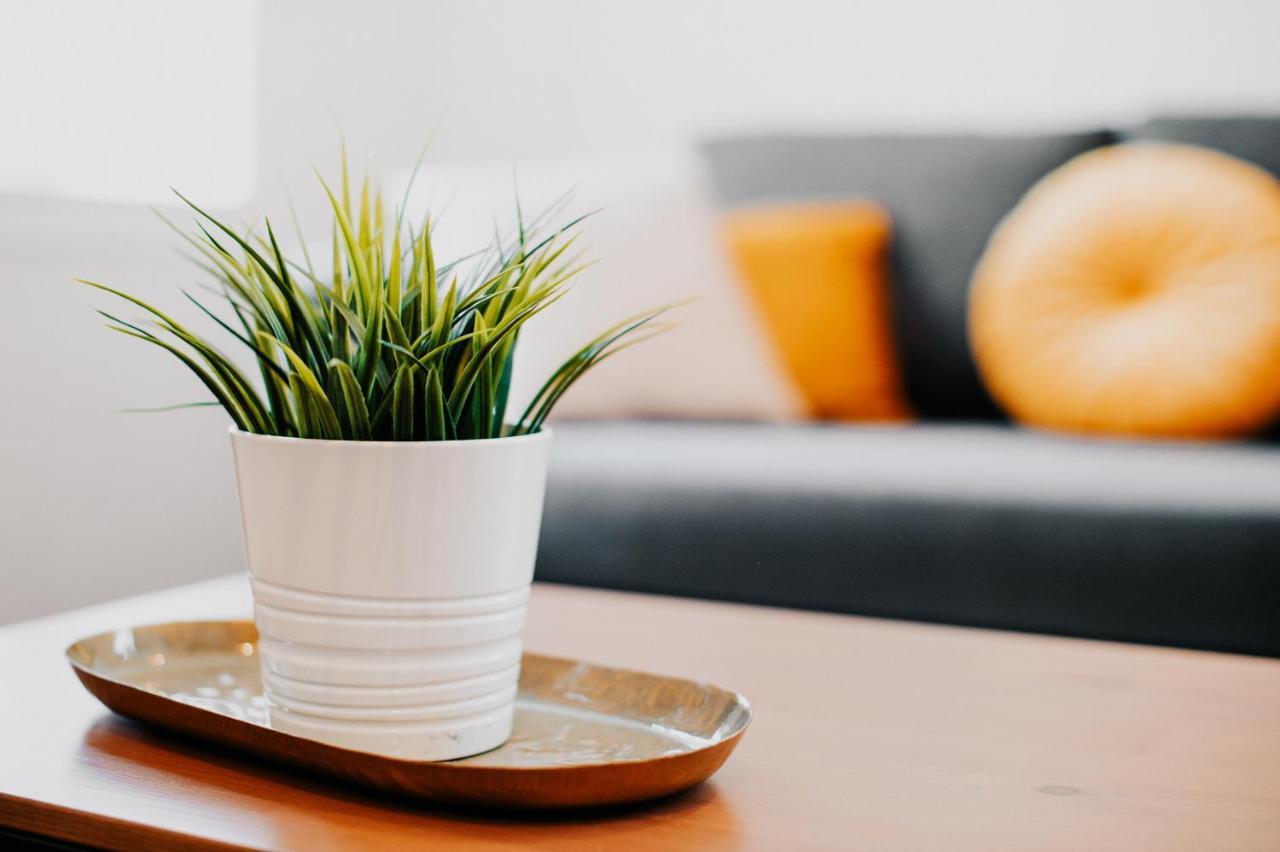 Cosy Avec Place De Parking Prive Appartement *